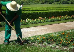 Aposentadoria para Jardineiro